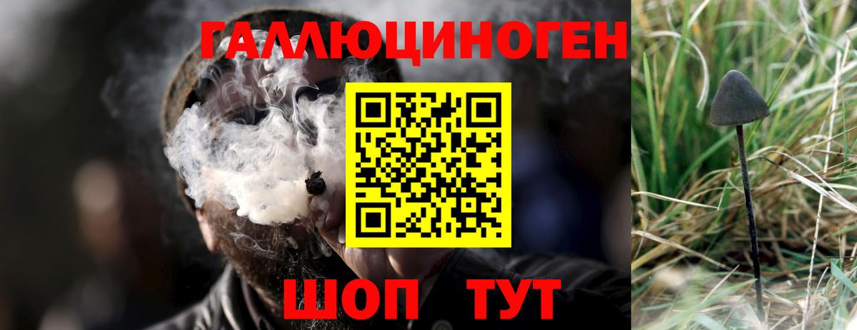 Тверь  купить наркотик  Вход с VPN  Галлюциногенные грибы мицелий  Псилоцибиновые грибы MAGIC MUSHROOMS 